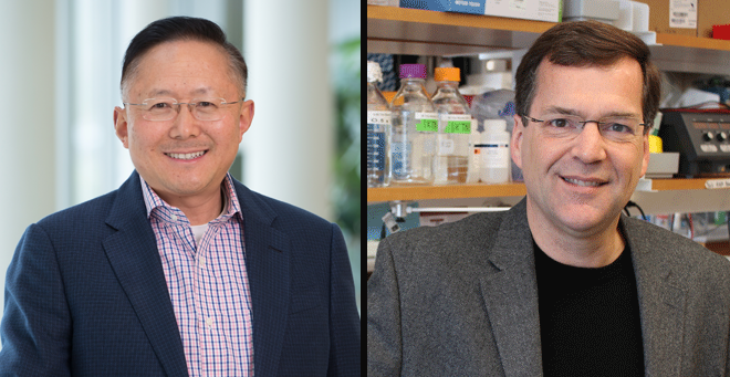 UMMS scientists receive $1.6M in NIH funding to improve genome editing techniques