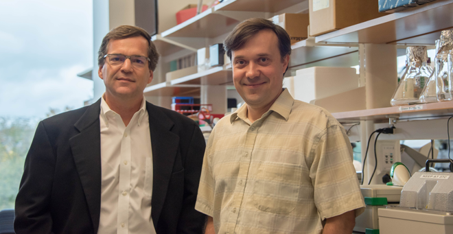 RNA Society honors Andrei Korostelev and Erik Sontheimer