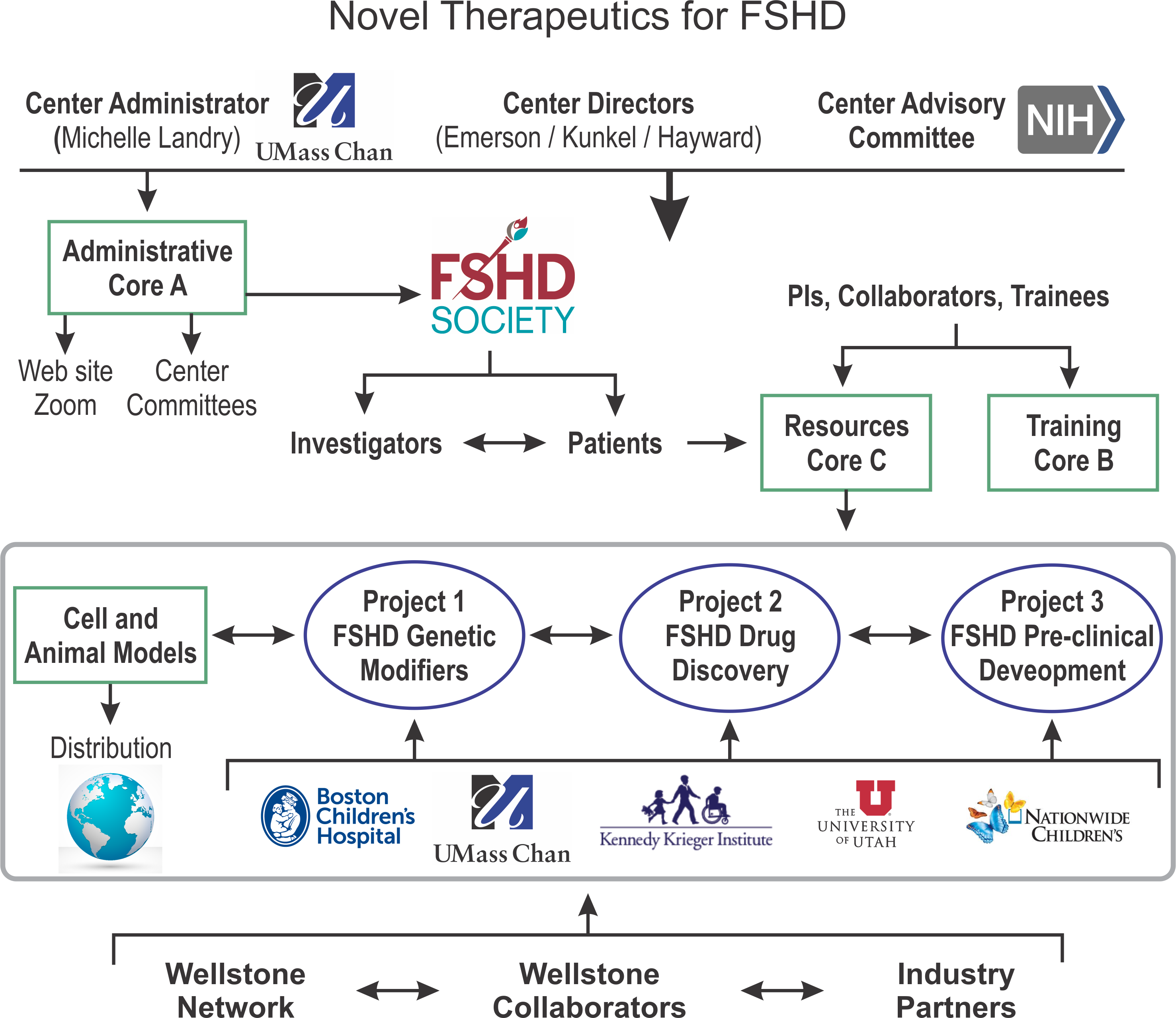 Organizations Chart